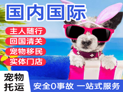 海口空运地址国际宠物托运 【国